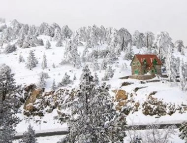 Aίσιο τέλος για τους προσκόπους στην Κύπρο - Εντοπίστηκαν και είναι καλά στην υγεία τους